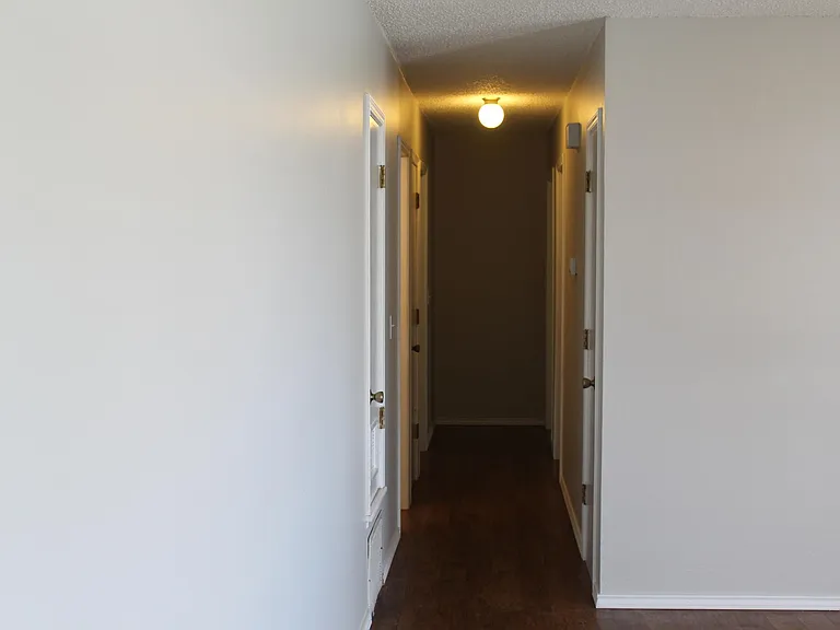 Hallway from living room to bedrooms