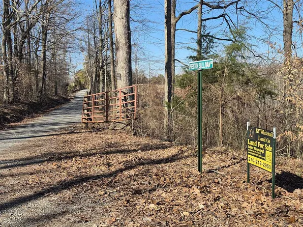 10 Preston Sullivan Rd, Columbia, KY 42728