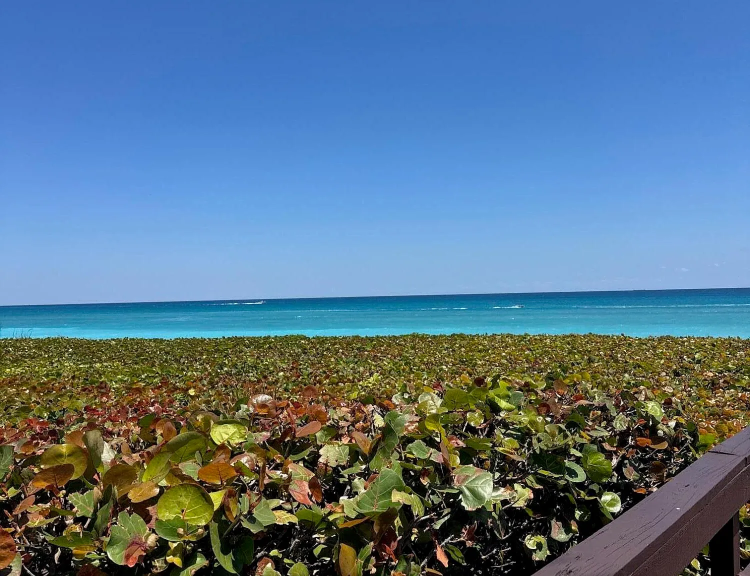 2 bed, 2.5 bath, 2680 sqft, $7,000 — Photo 4