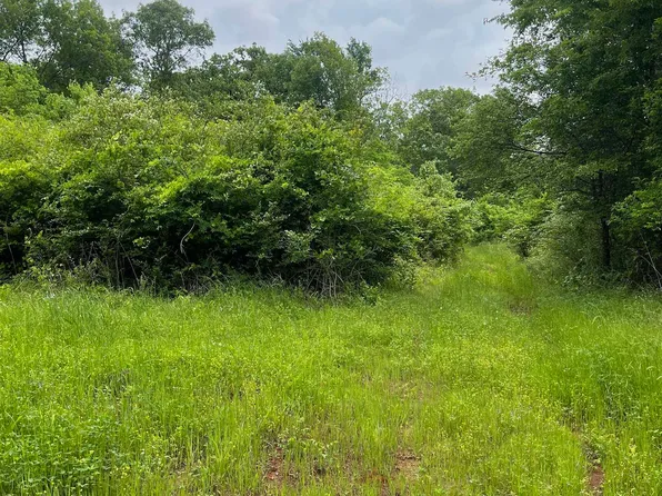 10423 County Road 2123, Whitehouse, TX 75791