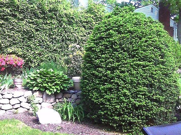 2nd image of 21 E Crescent Ave