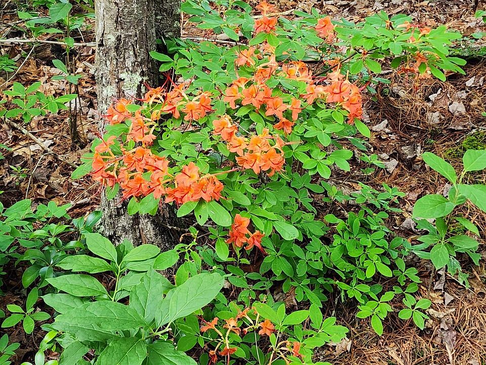 37th image of this home