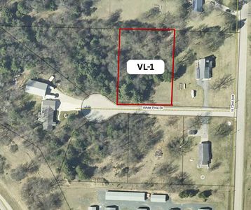 V/l 1 White Pine Dr, Hart, MI, 49420