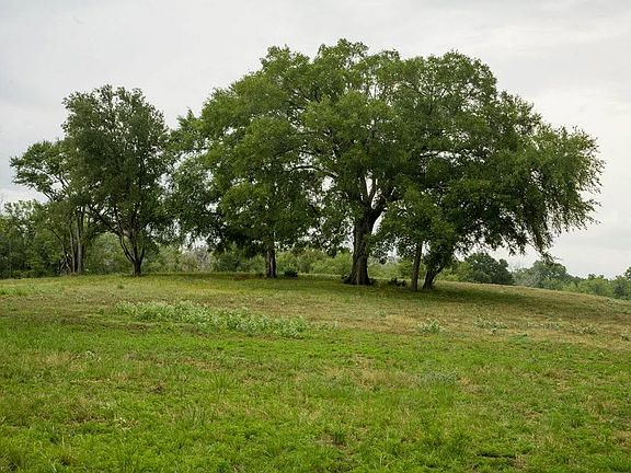 5th image of 4342A Dobrovolny Rd