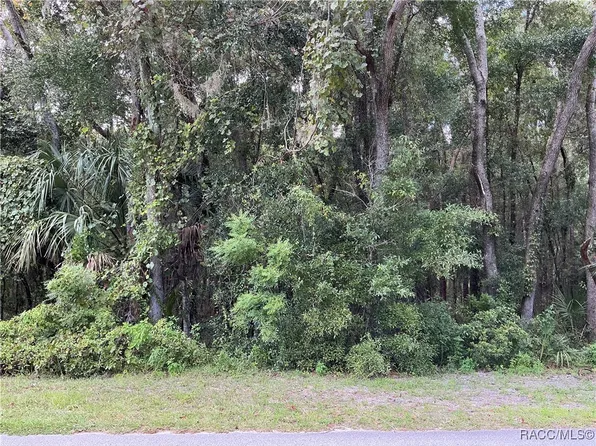58 N Bauer Rd, Lecanto, FL 34461