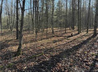 0 Neu Rd, Arkport, NY 14807