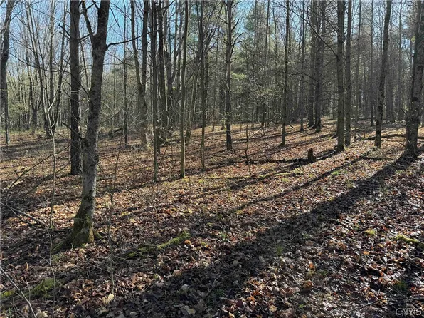 0 Neu Rd, Arkport, NY 14807