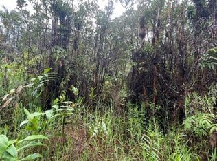 Oahu St, Mountain View, HI 96771