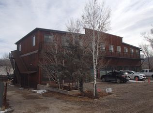 160 Liddell Dr, Ridgway, CO 81432