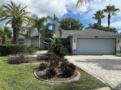 1319 Masada Ln, Spring Hill, FL, 34608