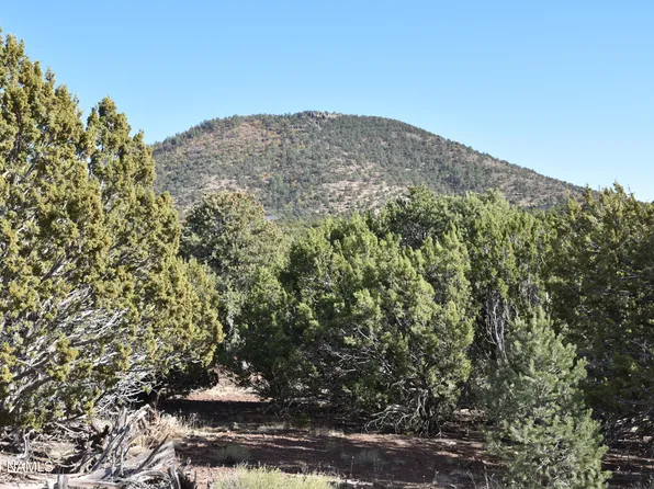 2394 E Clear Point Way #58, Williams, AZ 86046