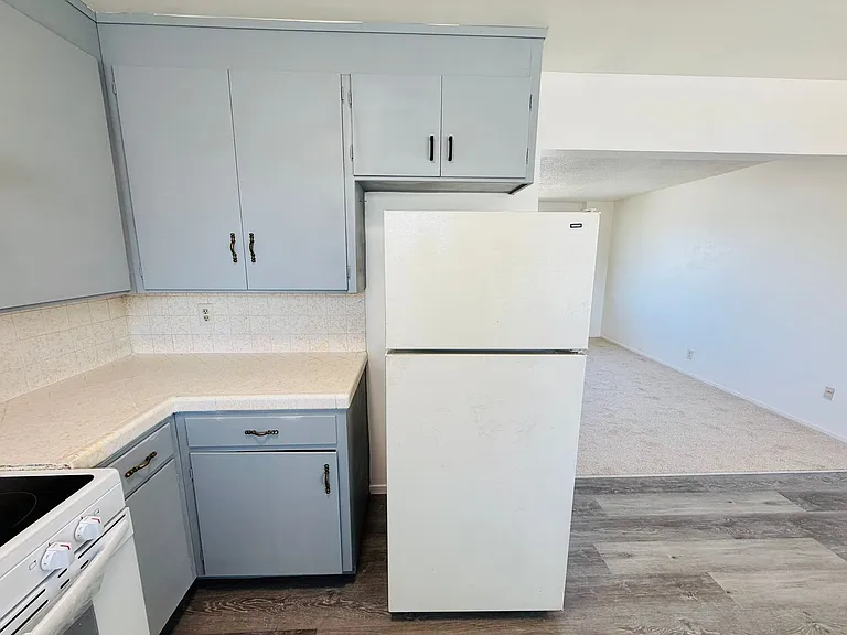 203 W Benjamin Holt Dr — Photo 23