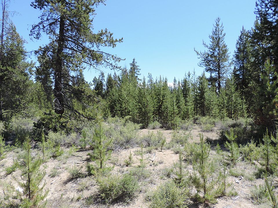 2nd image of Lot 12 Mabel Dr