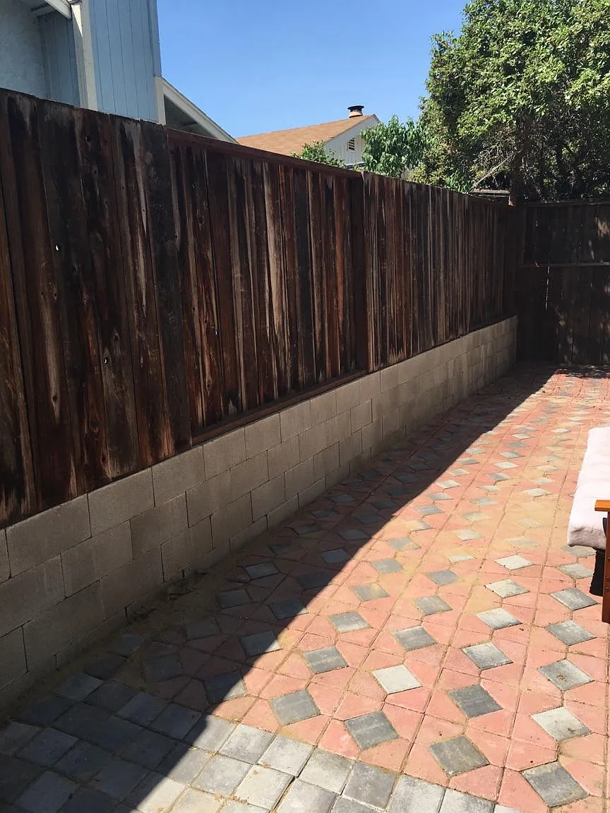 Backyard - 365 Hazelnut Ln