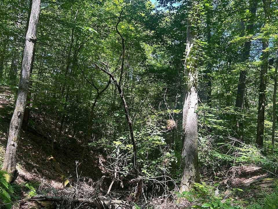 43rd image of this home