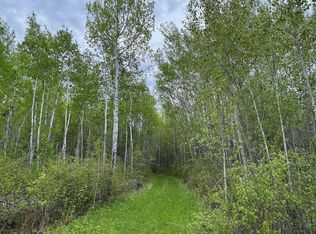 11000 County Road 64, Mizpah, MN 56660