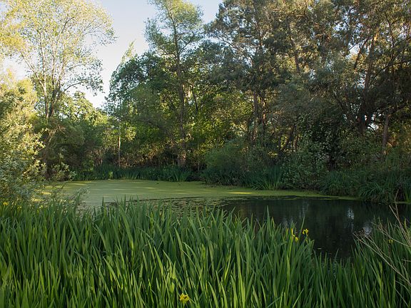 2nd image of Lot 20-hickey Ln