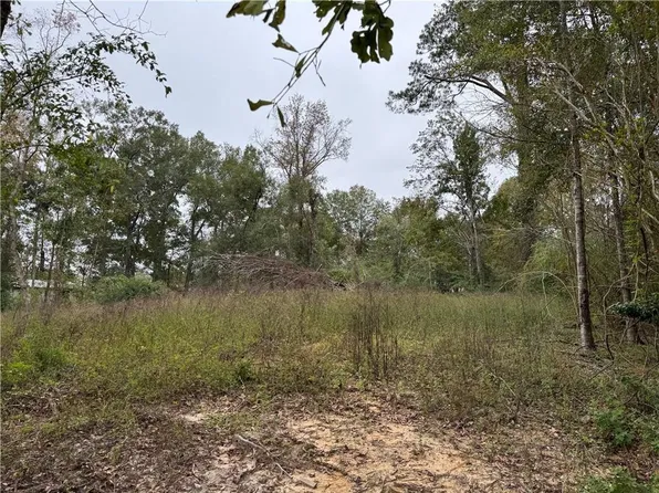 29507 Clay St, Albany, LA 70711