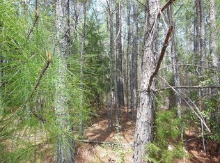 2468 Gunston Ct, Auburn, AL 36832