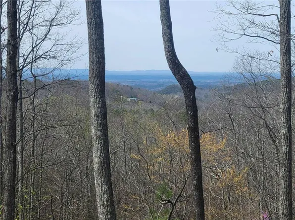 1005 Mayfield Ln NE #1005, Ranger, GA 30734