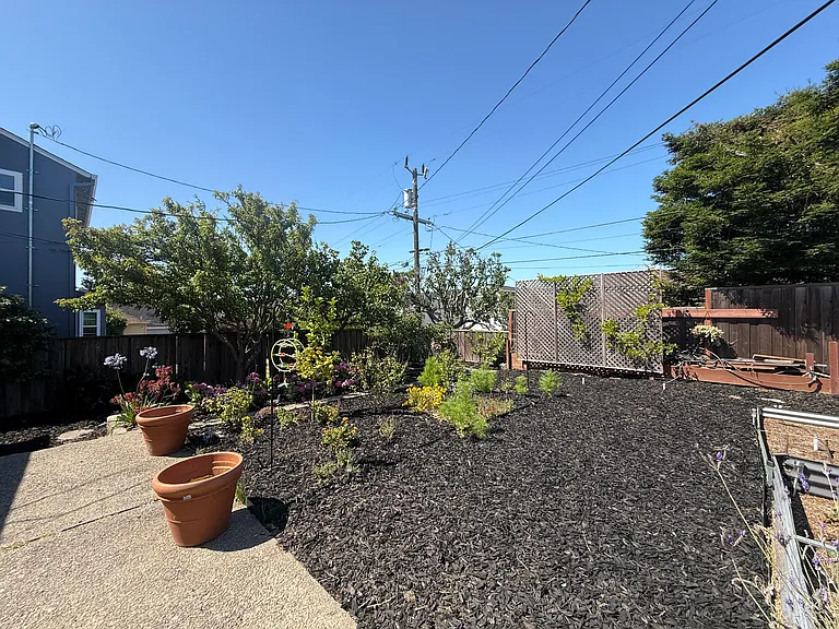 729 Magnolia Ave — Photo 23
