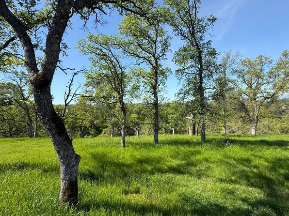 19816 Tedrock Mountain Pl, Cottonwood, CA 96022