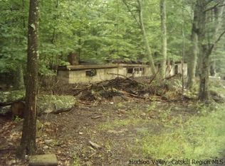 136 Grassy Ridge Rd, Olive, NY 12461