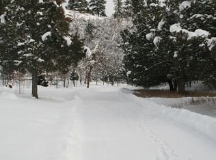 221 Red Stone Rd, Ridgway, CO 81432