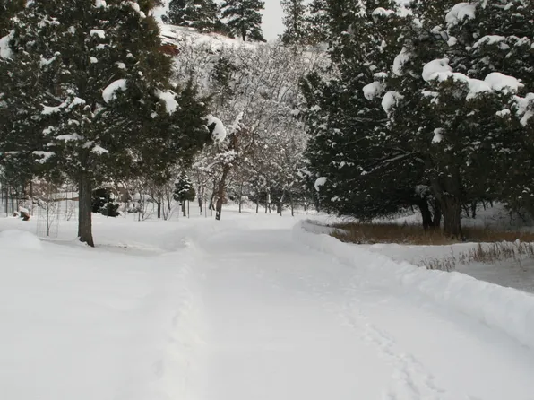 221 Red Stone Rd, Ridgway, CO 81432