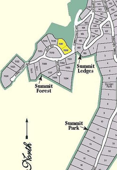2nd image of TBD Summit Forest Way