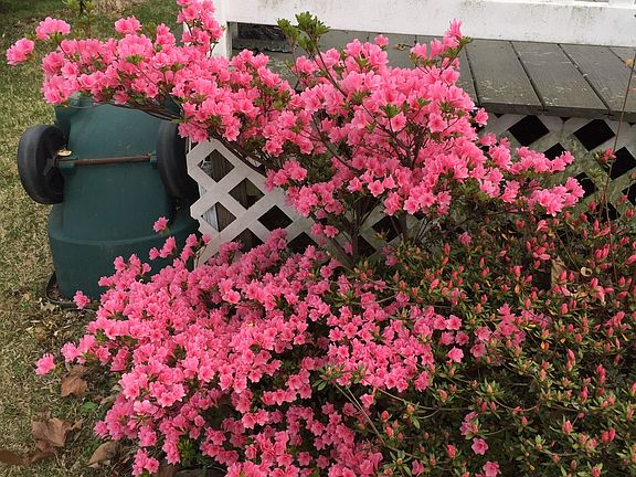 Beautiful landscaping 