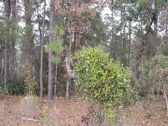 5th image of 0 Marion Oaks Trl #35