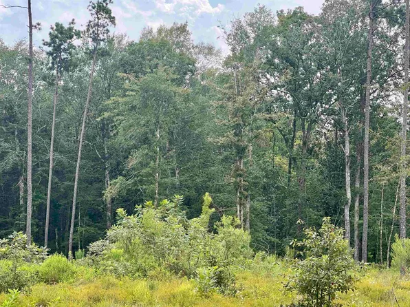 3855 Fm 420 Rd, Kountze, TX 77625