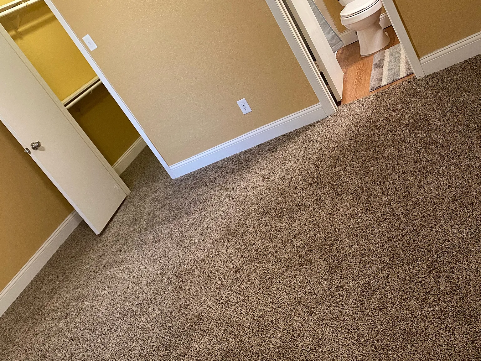 Ashley Court Apartments — Photo 4