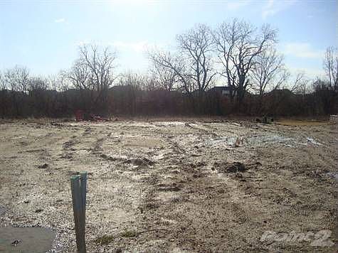 Lot 5