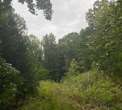 2nd image of 1075 Burns Island Rd