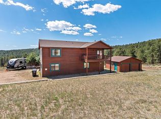 196 Conifer Dr, Bailey, CO 80421