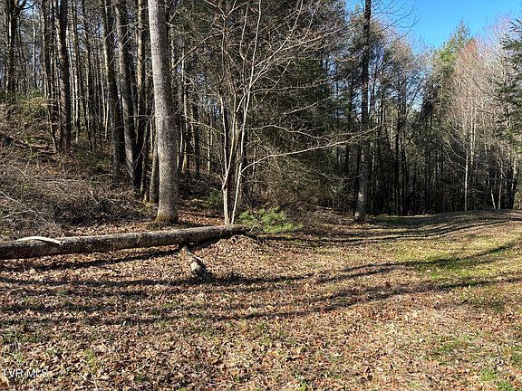 2nd image of 445 Possum Valley Rd