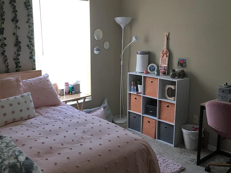 4156 Pitch Pine Cir — Photo 13