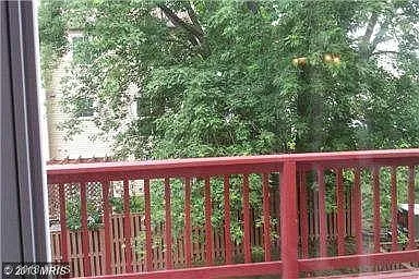 3002 Winter Pine Ct — Photo 7