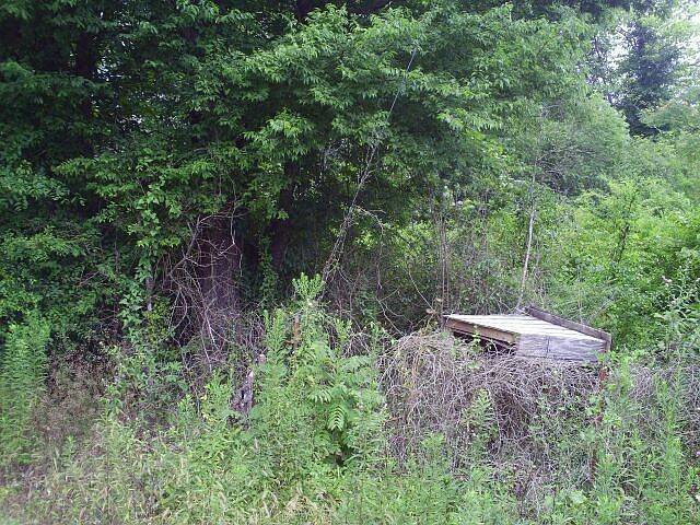2nd image of 114 Hillvale Garden Trl