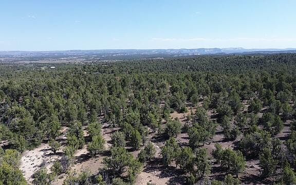 5th image of Mile 51 Hwy E #9