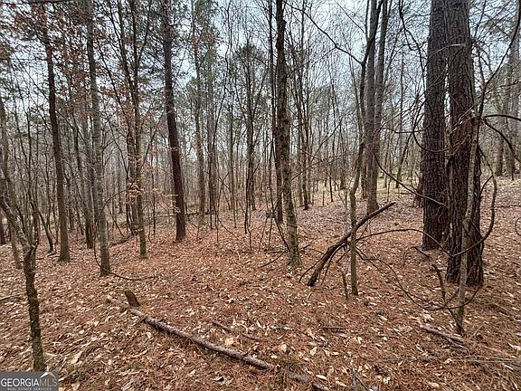 5th image of 0 Oconee Rd Lot 3