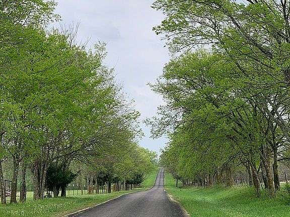 Country neighborhood