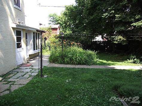 back yard
