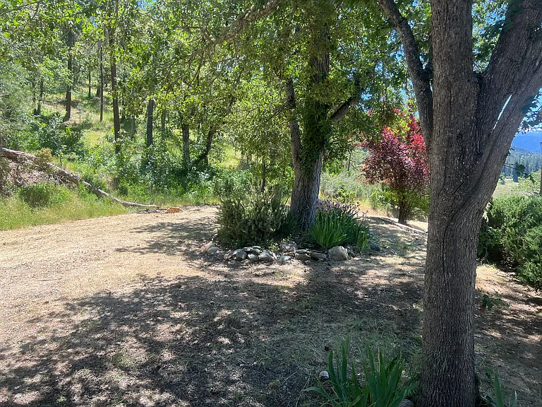 10625 Upper Applegate Rd — Photo 7