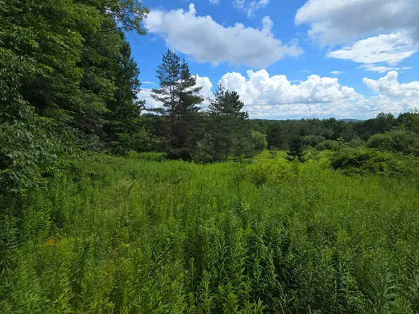 0WP Summit Lake Rd, Burlington Flats, NY 13315