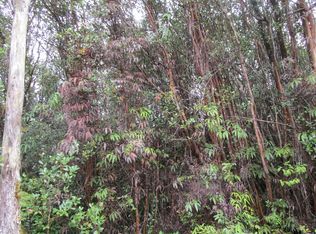 Lehuanani St LOT 284-E, Mountain View, HI 96771