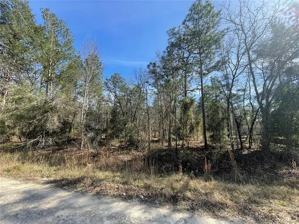 SW 125th Court Rd Lot 12, Dunnellon, FL 34432