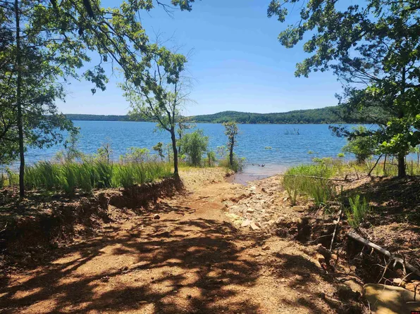 2488 & 2482 Mc #172, Theodosia, MO 65761